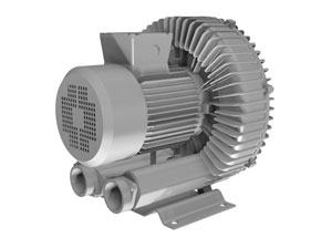 Regenerative Blower